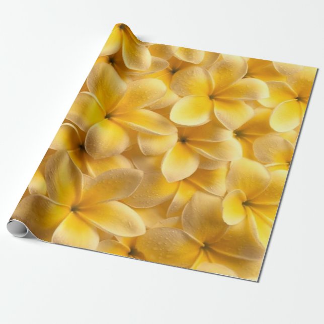 Papier Cadeau Plumeria Fleur Jaune (Déroulé)