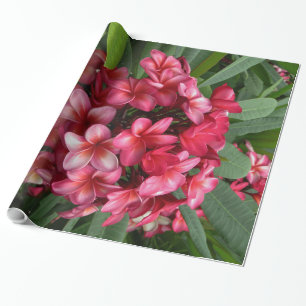 Papier Cadeau Plumeria hawaïen