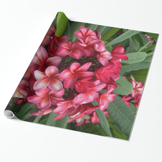 Papier Cadeau Plumeria hawaïen (Déroulé)