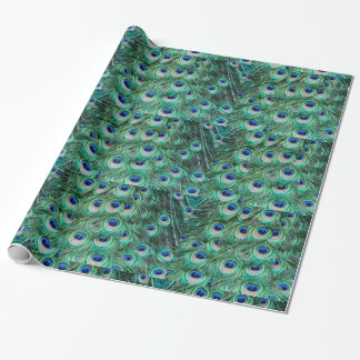 Papier Cadeau Plumes de paon