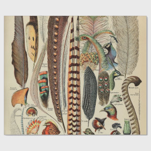 Papier Cadeau Plumes d'oiseaux sauvages Antique