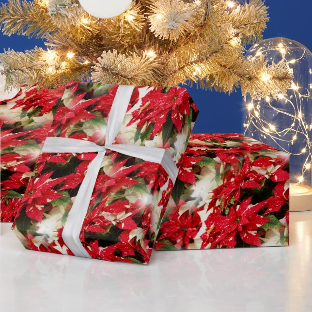 Papier Cadeau Poinsettias Festive Rouge Blanc Floral (Vacances)