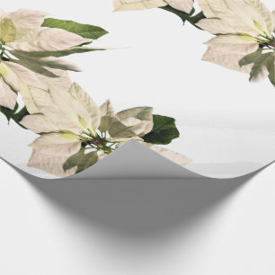 Papier Cadeau Pointsettia blanc fleurit des vacances de Noël