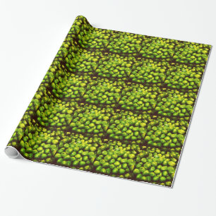 Papier Cadeau Pois verts