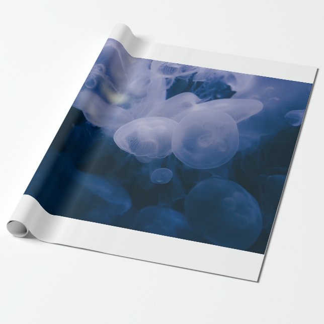 PAPIER CADEAU POISSON BLEU ET BLANC DANS L'EAU (Déroulé)