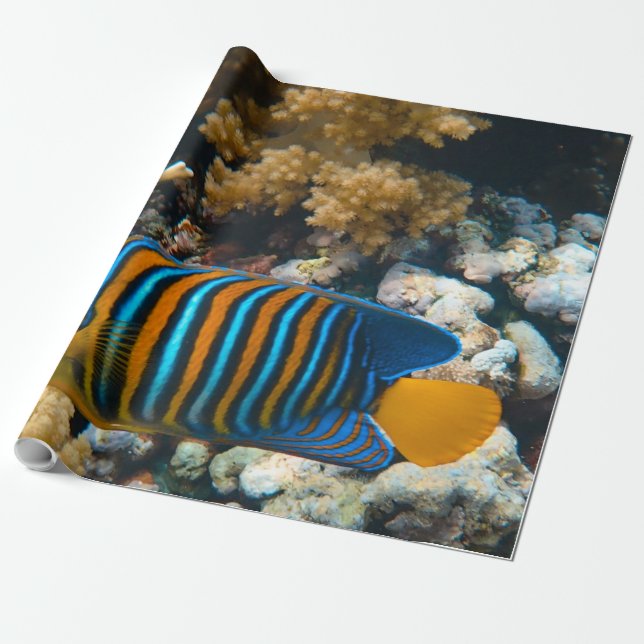 Papier Cadeau Poisson coloré mignon (Déroulé)