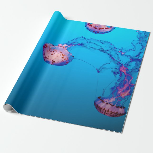 PAPIER CADEAU POISSONS JELLY SOUS L'EAU (Déroulé)