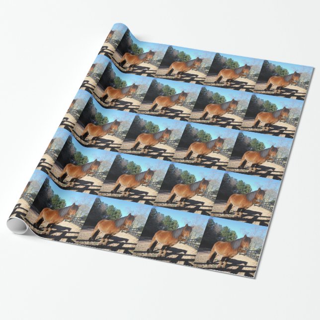 Papier Cadeau Poney brun ciel turquoise (Déroulé)