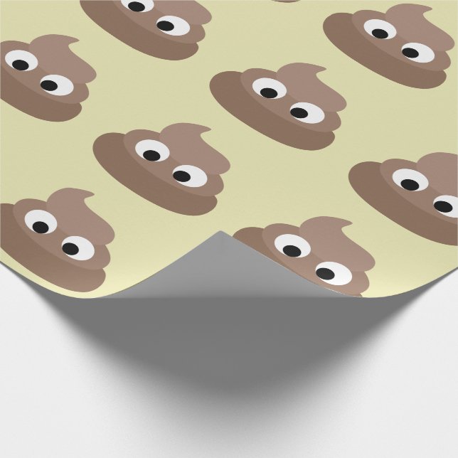 Papier Cadeau POOP FUNNY Birthday WRAPPING PAPER (Coin)