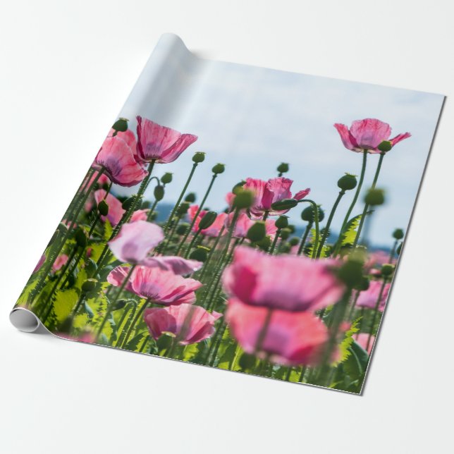 Papier Cadeau Poppies roses (Déroulé)