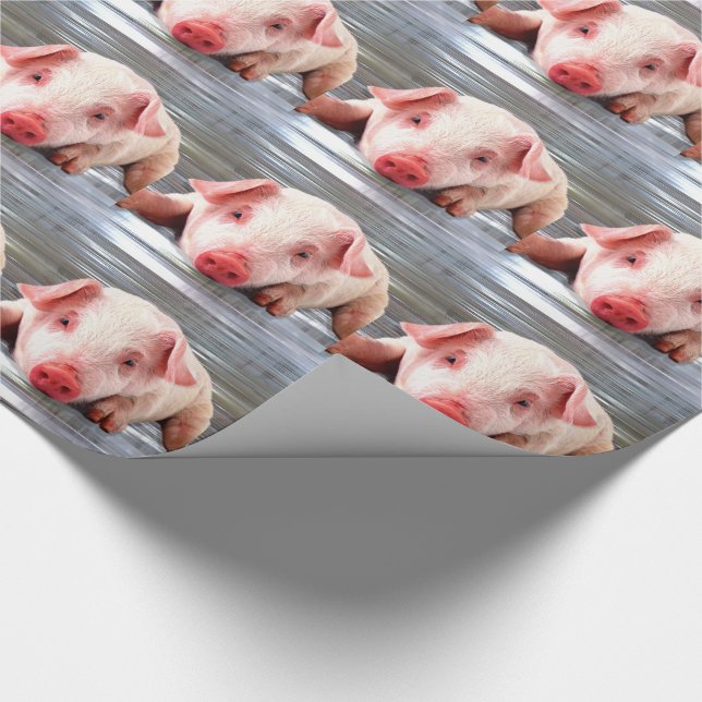 Papier Cadeau Porc (Coin)