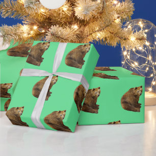 PAPIER CADEAU PORTEZ GRIZZLY NOËL LIVRE DE LAVAGE DE NOËL