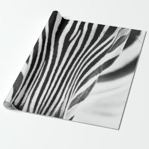 Papier Cadeau Portrait de closeup en noir et blanc d'un zèbe
