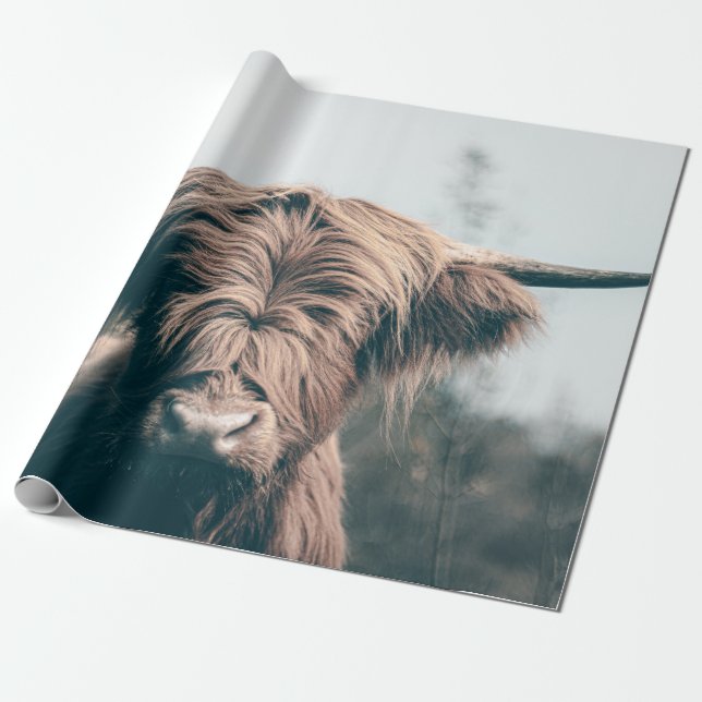 Papier Cadeau Portrait de vache highland (Déroulé)