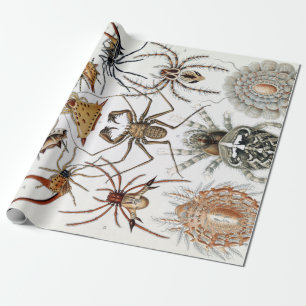 Papier Cadeau Poster d'Ernst Haeckel Arachnida