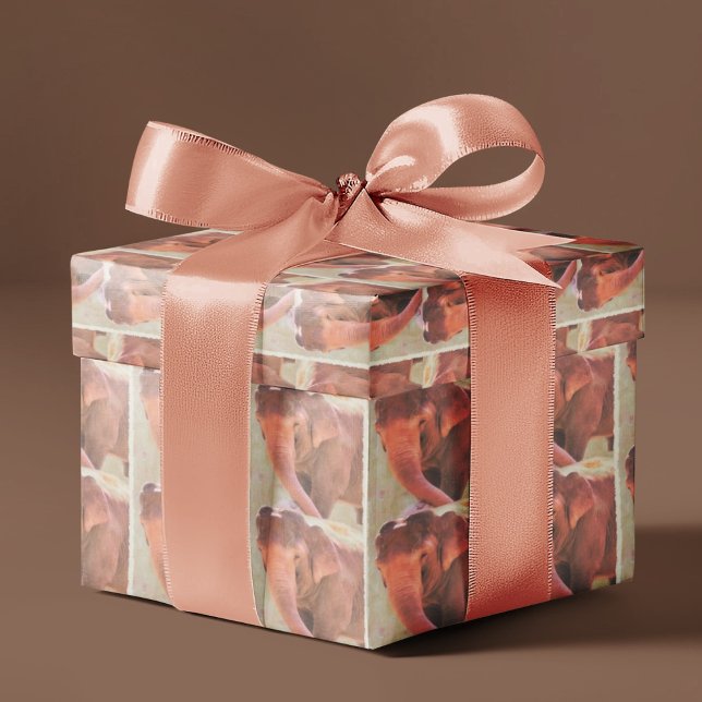 Papier Cadeau pour l'heure de jeu de l'éléphant (Créateur téléchargé)