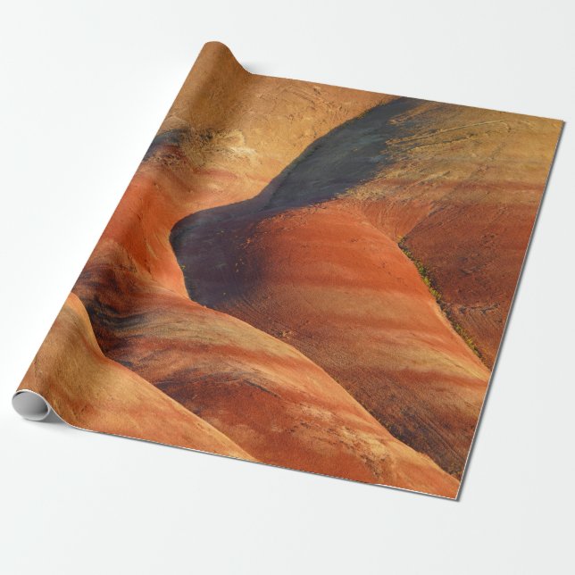 Papier Cadeau Préhistorique (Déroulé)