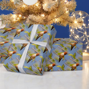 Papier Cadeau Profil d'un colibri roux