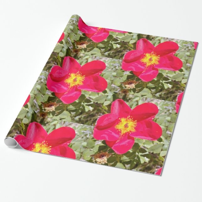 Papier Cadeau Punch floral (Déroulé)