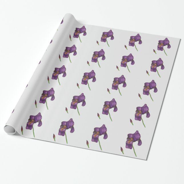 Papier Cadeau Purple Arc-en-ciel Elegant Wrapping Paper (Déroulé)