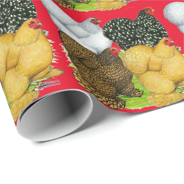 Papier Cadeau Quatre poules de Cochin (Coin rond)