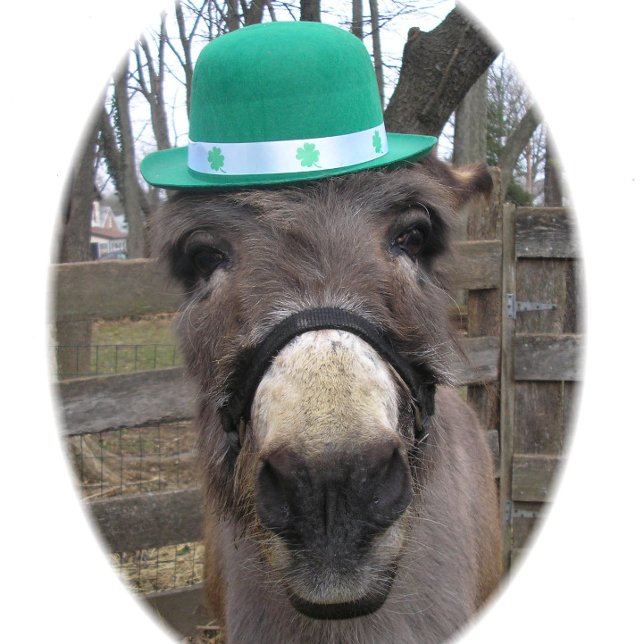 Papier Cadeau "Qu'est-ce que le Big Deal ?" (Créateur téléchargé)