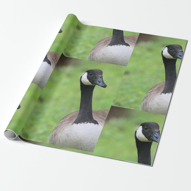 Papier Cadeau Quoi (Déroulé)