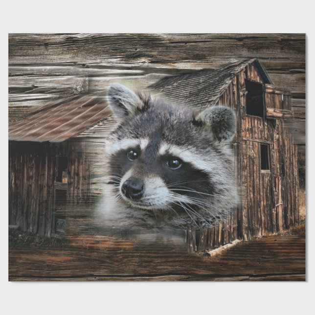 Papier Cadeau Raccoon À L'Ancienne Grange (Plat)