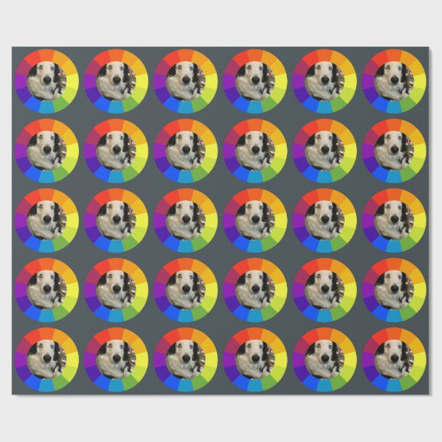 Papier Cadeau Rainbow Color Wheel (Plat)