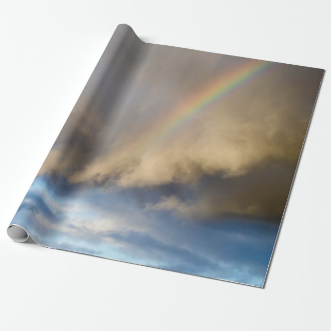 Papier Cadeau rébellion arc-en-ciel (Déroulé)