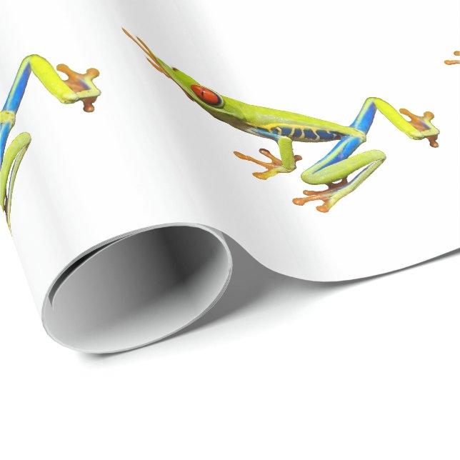 Papier Cadeau Red eyed tree frog (Coin rond)