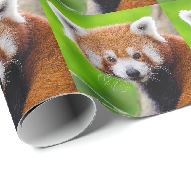 Papier Cadeau Red Panda (Coin rond)