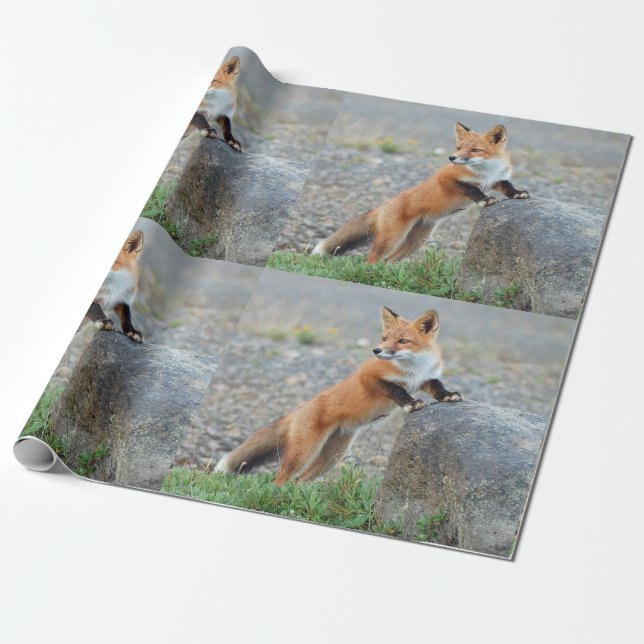 Papier Cadeau Renard rouge debout (Déroulé)