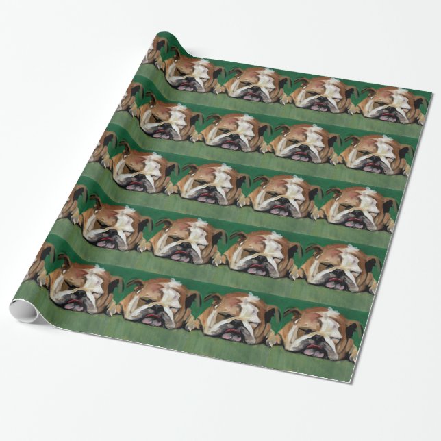 Papier Cadeau Repos pour le las (Déroulé)