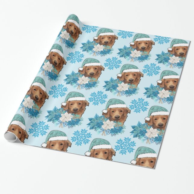 Papier Cadeau retriever de Nouvelle-Écosse découvrant le canard (Déroulé)