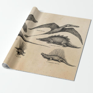 Papier Cadeau Rétros dinosaures d'illustration vintage de