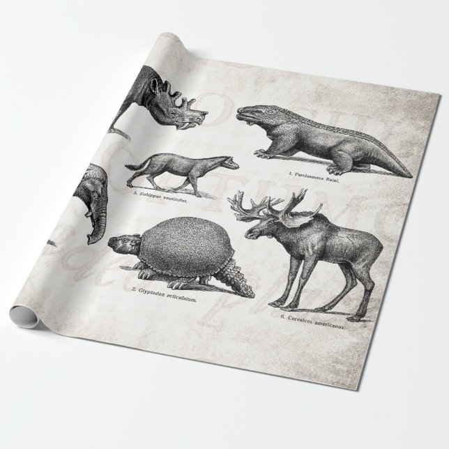 Papier Cadeau Rétros dinosaures illustration vintage de (Déroulé)
