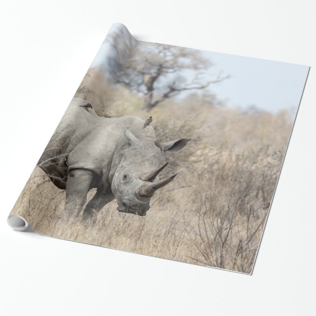 Papier Cadeau Rhino blanc (Déroulé)