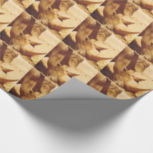 Papier Cadeau Rhinoceros Love