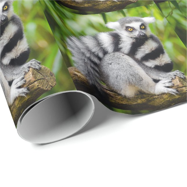Papier Cadeau Ring-tailed lemur (Coin rond)