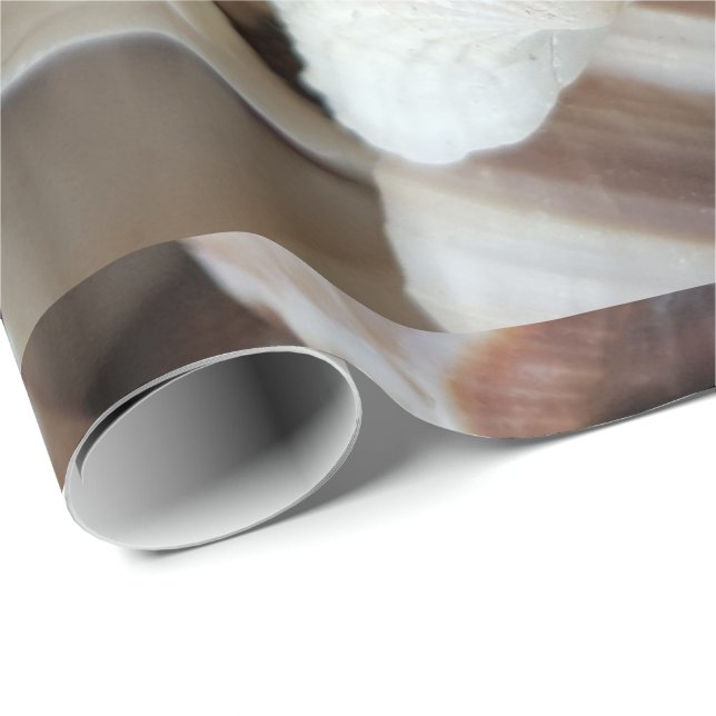 Papier Cadeau Romantique Tropical Exotic Sea Shells Plage Amour (Coin rond)