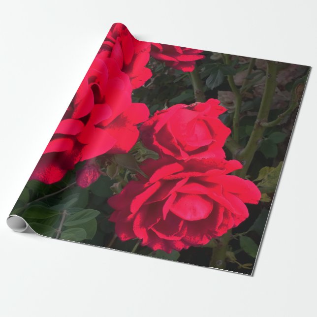 Papier Cadeau Rosarium de Red Roses (Déroulé)