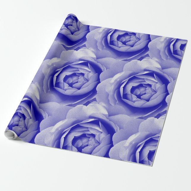 Papier Cadeau Rose bleue (Déroulé)