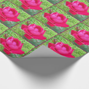 Papier Cadeau Rose dans Bloom