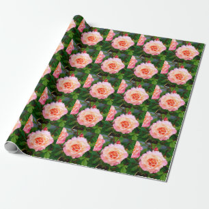 Papier Cadeau Rose rose fleurs dans le jardin carte postale