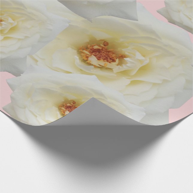 Papier Cadeau Roses blanches mignonnes modernes pour son arrière (Coin)