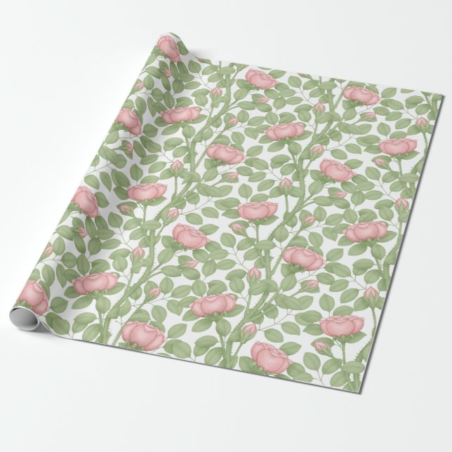 Papier Cadeau Roses roses blanches (grande échelle) (Déroulé)