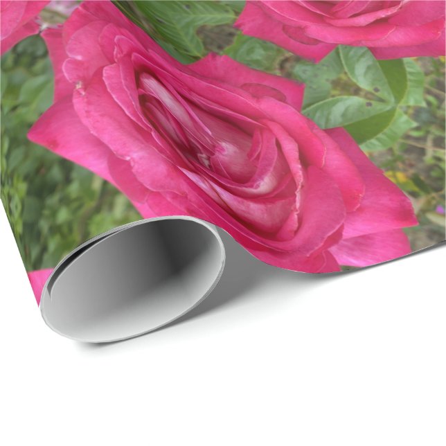 Papier Cadeau Roses roses romantiques Fleurs Roses Florales (Coin rond)