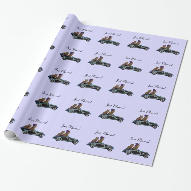 Papier Cadeau Roues de chat juste mariées (Déroulé)