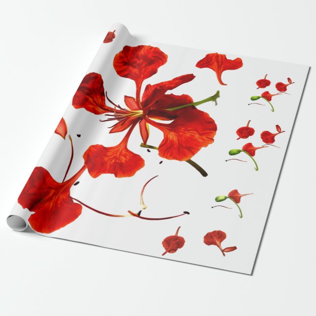 Papier Cadeau Royal Poinciana (Déroulé)